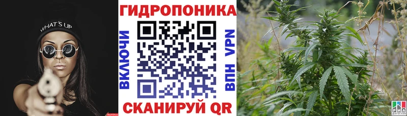 Купить наркотик аптеки Петушки Канабис  АМФ  Меф мяу мяу 