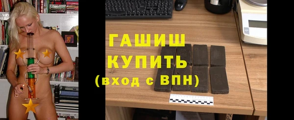 стаф Алзамай
