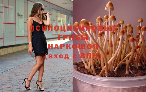 синтетический гашиш Алексеевка