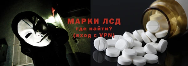 стаф Алзамай